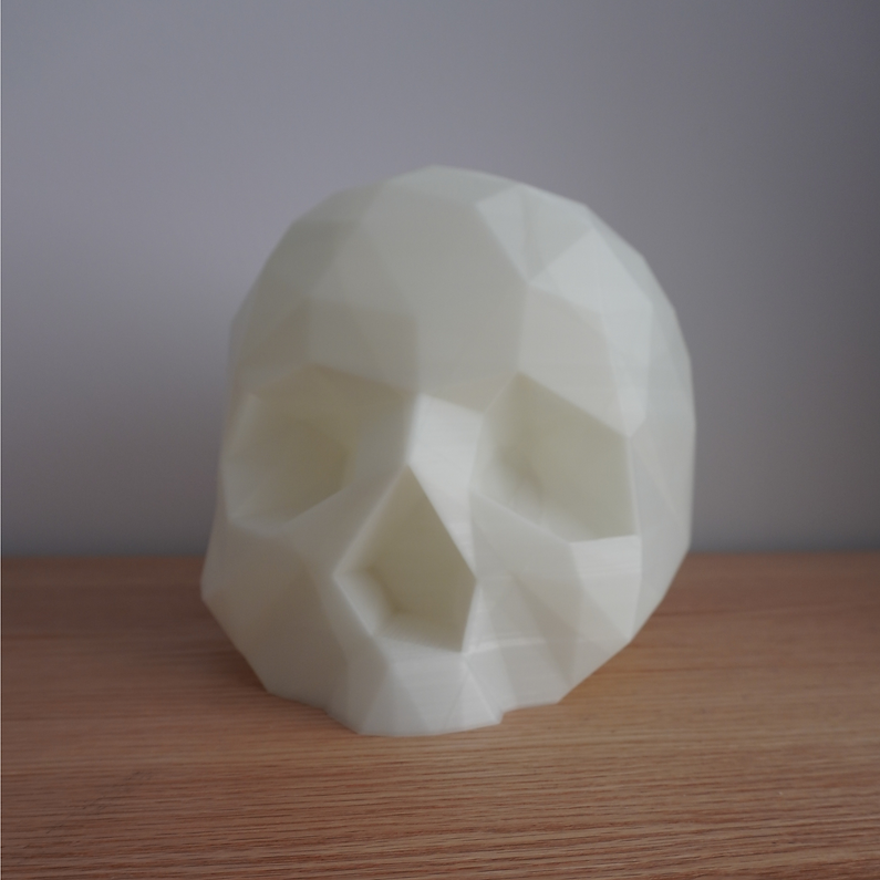 White skull display