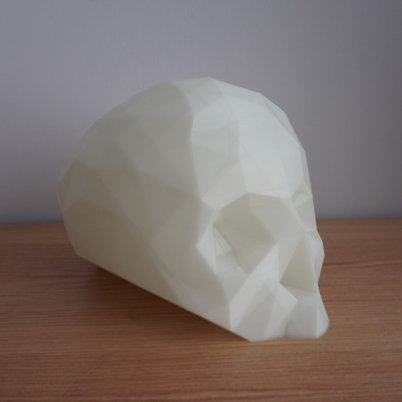 White skull display